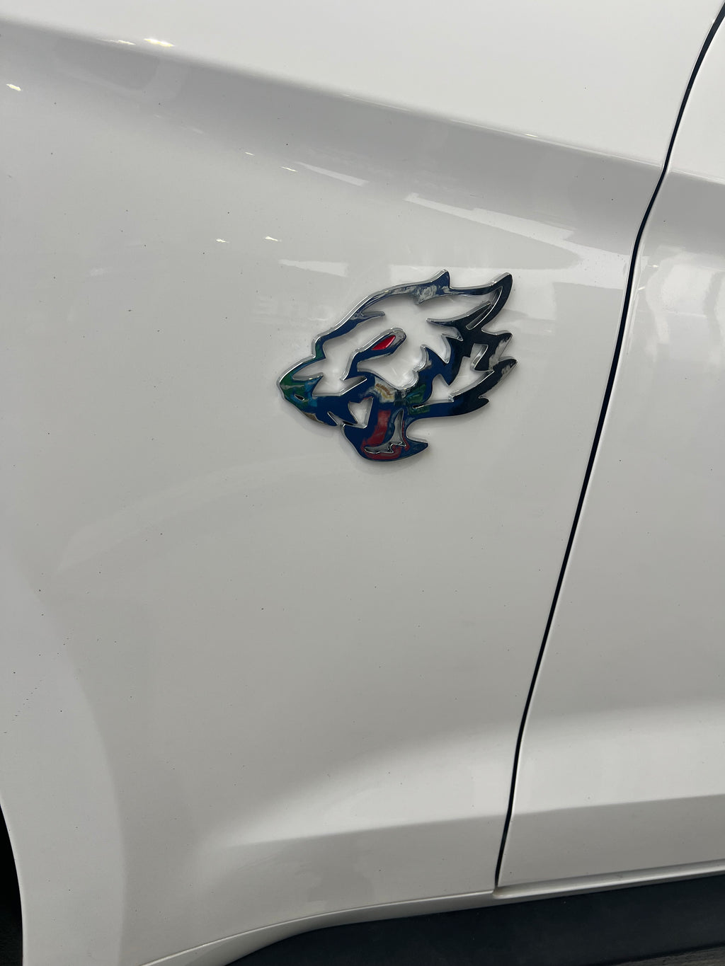 Coyote Fender Emblems - CHROME