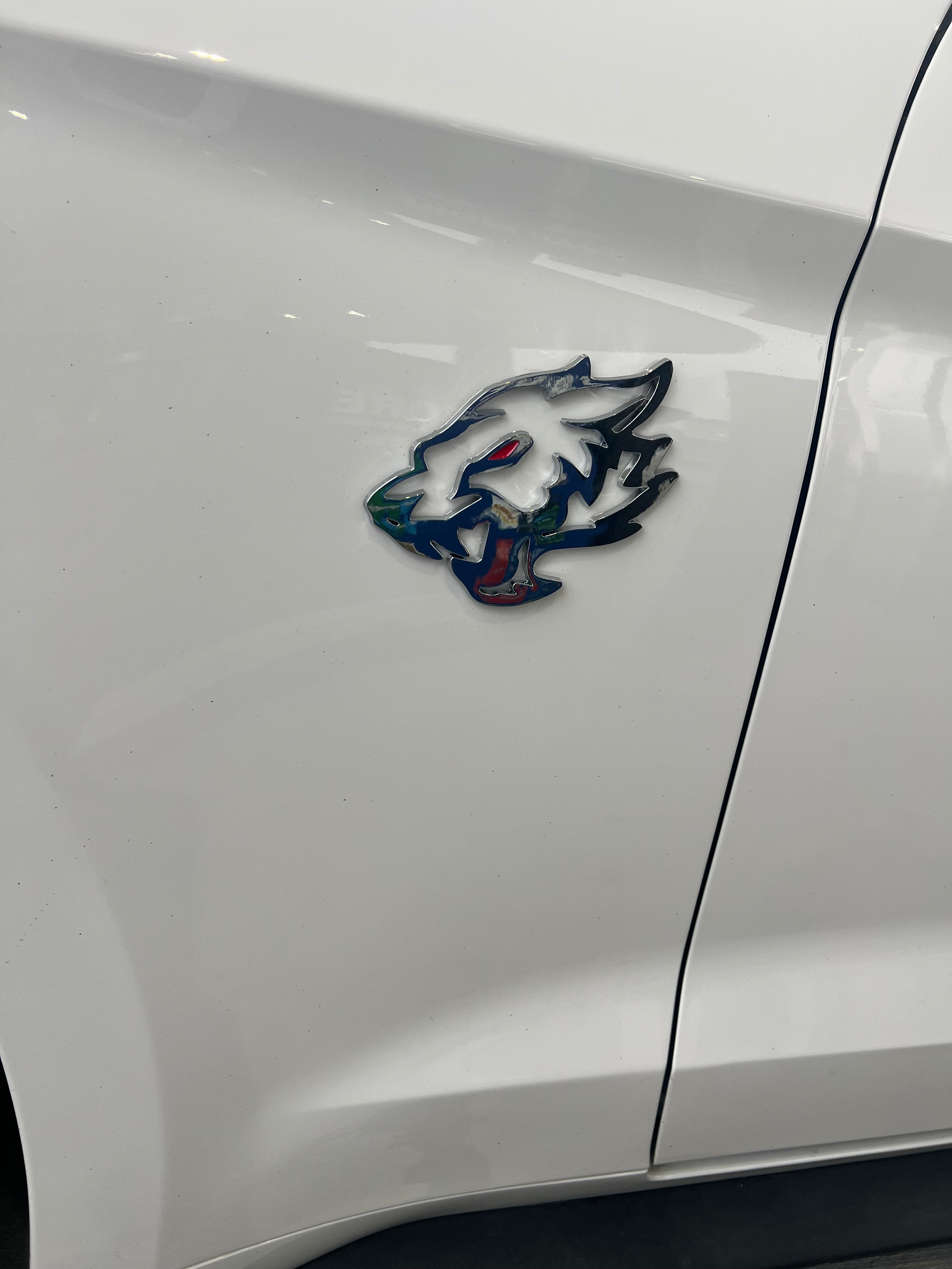 Coyote Fender Emblems - CHROME